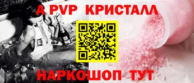 гидра Будённовск