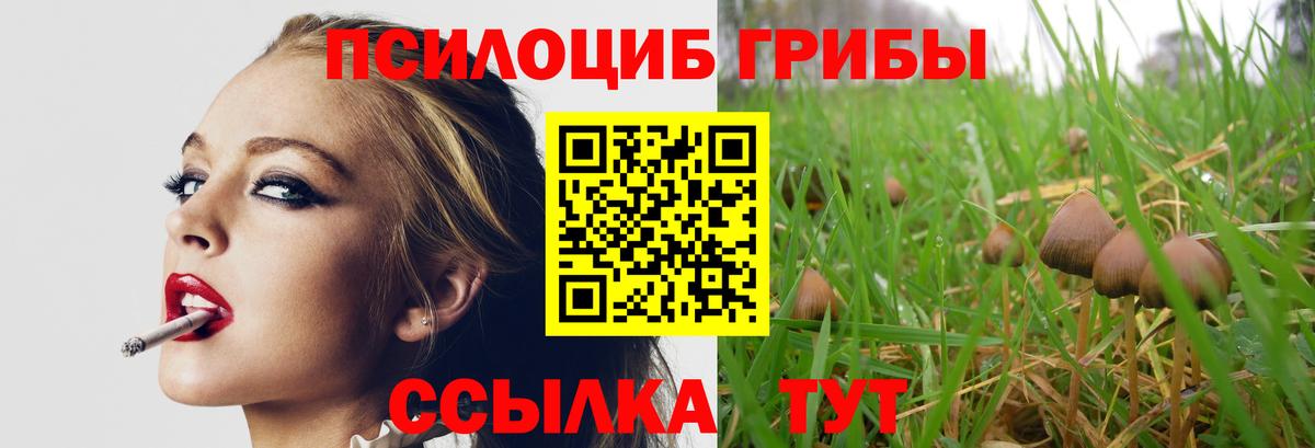 Псилоцибиновые грибы прущие грибы  Вход с VPN  Серпухов  Псилоцибиновые грибы мухоморы 